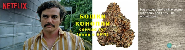 a pvp Надым