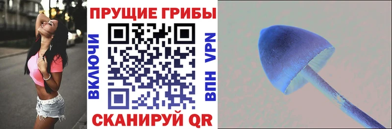 где купить   Красный Холм  Галлюциногенные грибы ЛСД 